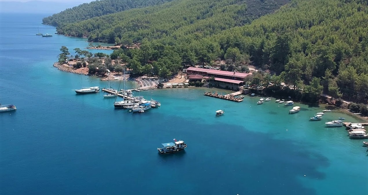 Yine yağma yine talan